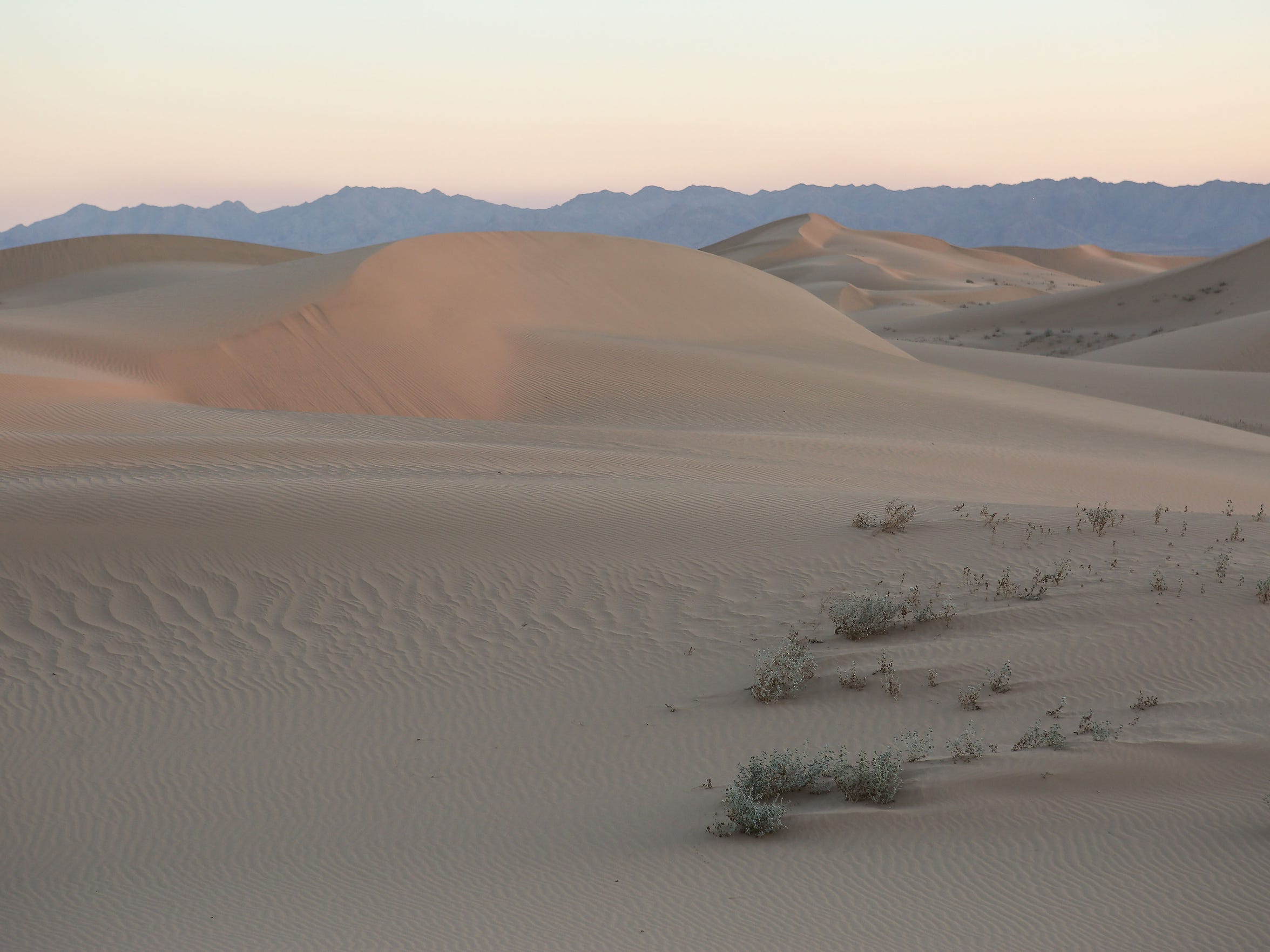 Shrink this national monument in the Mojave Desert? Conservationists are appalled.