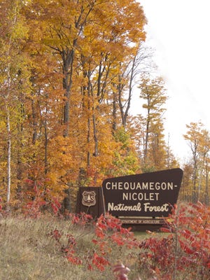 Chequamegon-Nicolet National Forest