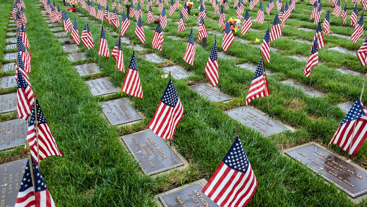 Veterans day free meals in puerto rico