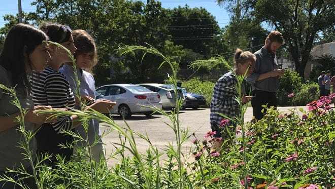 Volunteers participate in Keep Indianapolis Beautiful, Inc.'s 2017 Pollinator Count to tally the birds, bees and butterflies around the city. Organizers say they couldn't do this project without the help of citizen scientists.