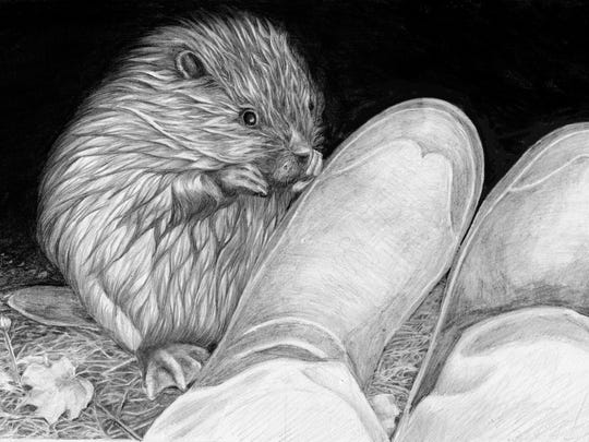 Vermont Author At Peace With Beavers