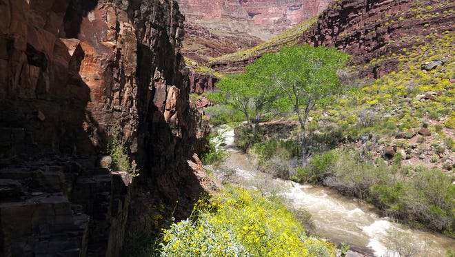 This Sunday, April 16, 2017, photo provided by the National Park Service shows Tapeats Creek in Grand Canyon National Park in Arizona. Authorities are searching for Jackson Standefer, 14, and Lou-Ann Merrell, 62, after the pair lost their footing Saturday and fell into the water during a family trip in a remote area of the Arizona park.