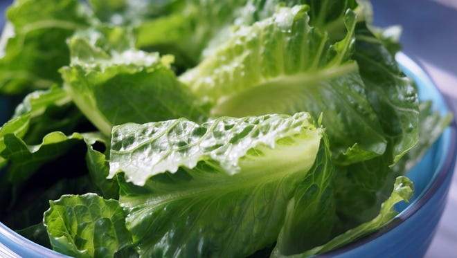 Throw Out All Your Romaine Lettuce It Could Have E Coli Cdc Says Romaine Lettuce Ecoli 2022 List