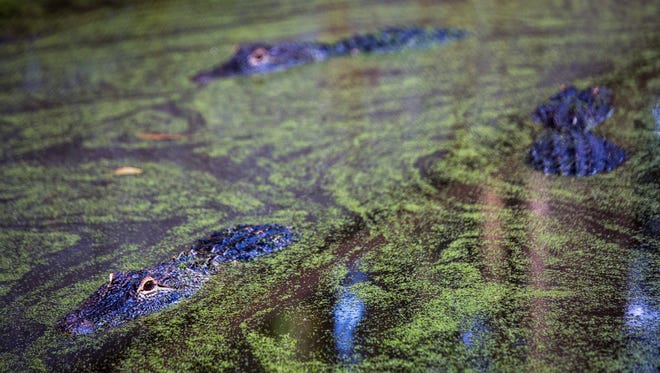 Get Ylzb9kw3yp8d6m For iPhone Free Wallpaper Ylzb9kw3yp8d6m Free