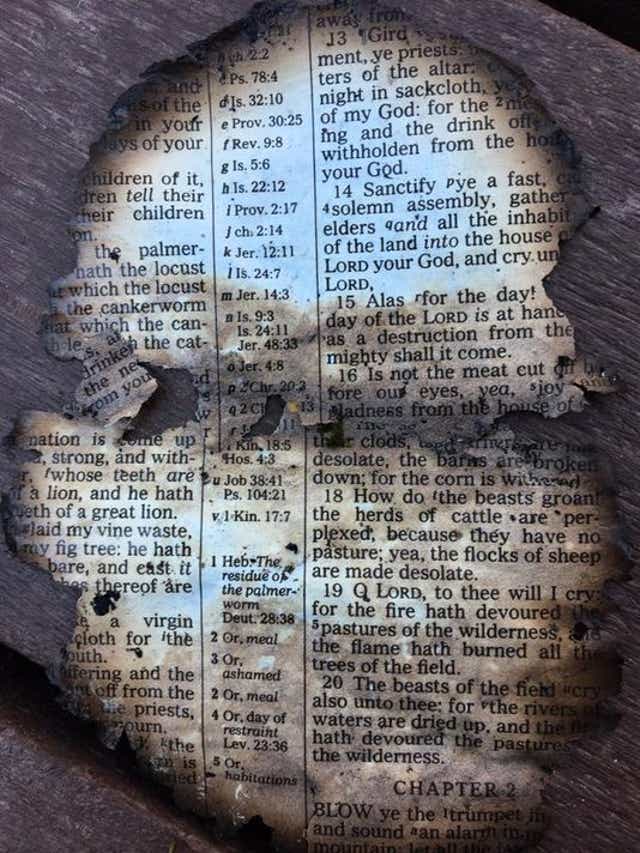 Dollywood Employee Finds Burned Bible Page After Wildfires