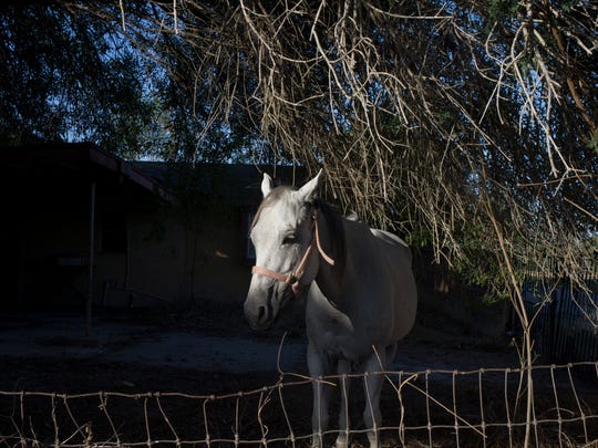 Border Homes And A Wall That Would Tear Them Apart