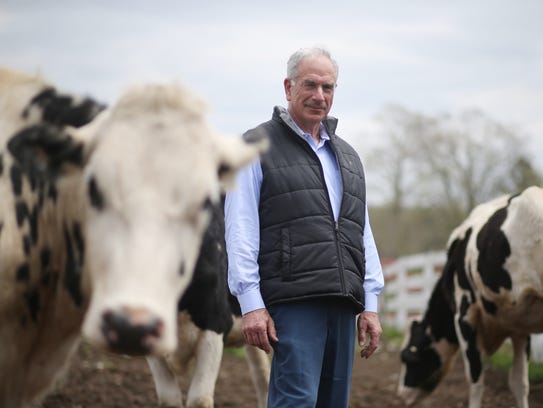 Sam Simon stands among his cows at Plankenhorn Farms in Pleasant Valley on May 4, 2018. Simon, who grew up on a dairy farm, revitalized Planknhorn in 1998 after retiring from his career as a surgeon. In 2005 he established Hudson Valley Fresh to help dairy farmers in the Hudson Valley earn a living wage for their high-quality products.