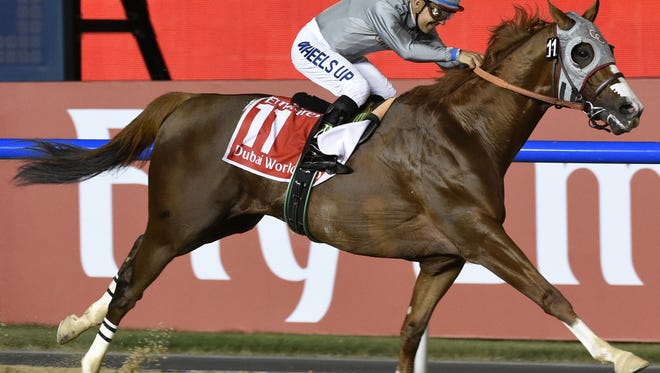 In this Saturday, March 26, 2016, file photo, California Chrome, ridden by Victor Espinoza, wins the Dubai World Cup horse race at Meydan Racecourse in Dubai, United Arab Emirates. California Chrome was the biggest winner at the Eclipse Awards on Saturday night, taking home three trophies celebrating his accomplishments in 2016--including Horse of the Year for the second time. He also won an Eclipse as the best in the older dirt male division, and his victory at the Dubai World Cup was picked as the National Thoroughbred Racing Association's moment of the year.