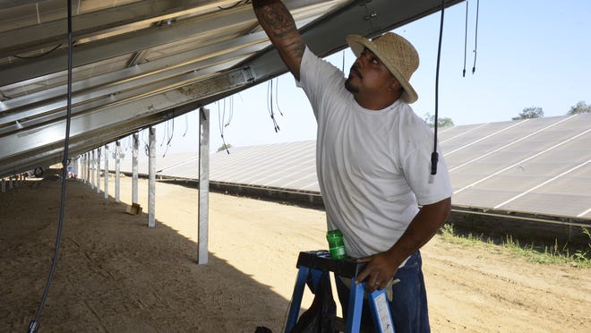 Robert Avina installs solar panels near Farmersville Thursday morning. More than 11,000 solar panels were installed at this solar farm near Farmersville. 
