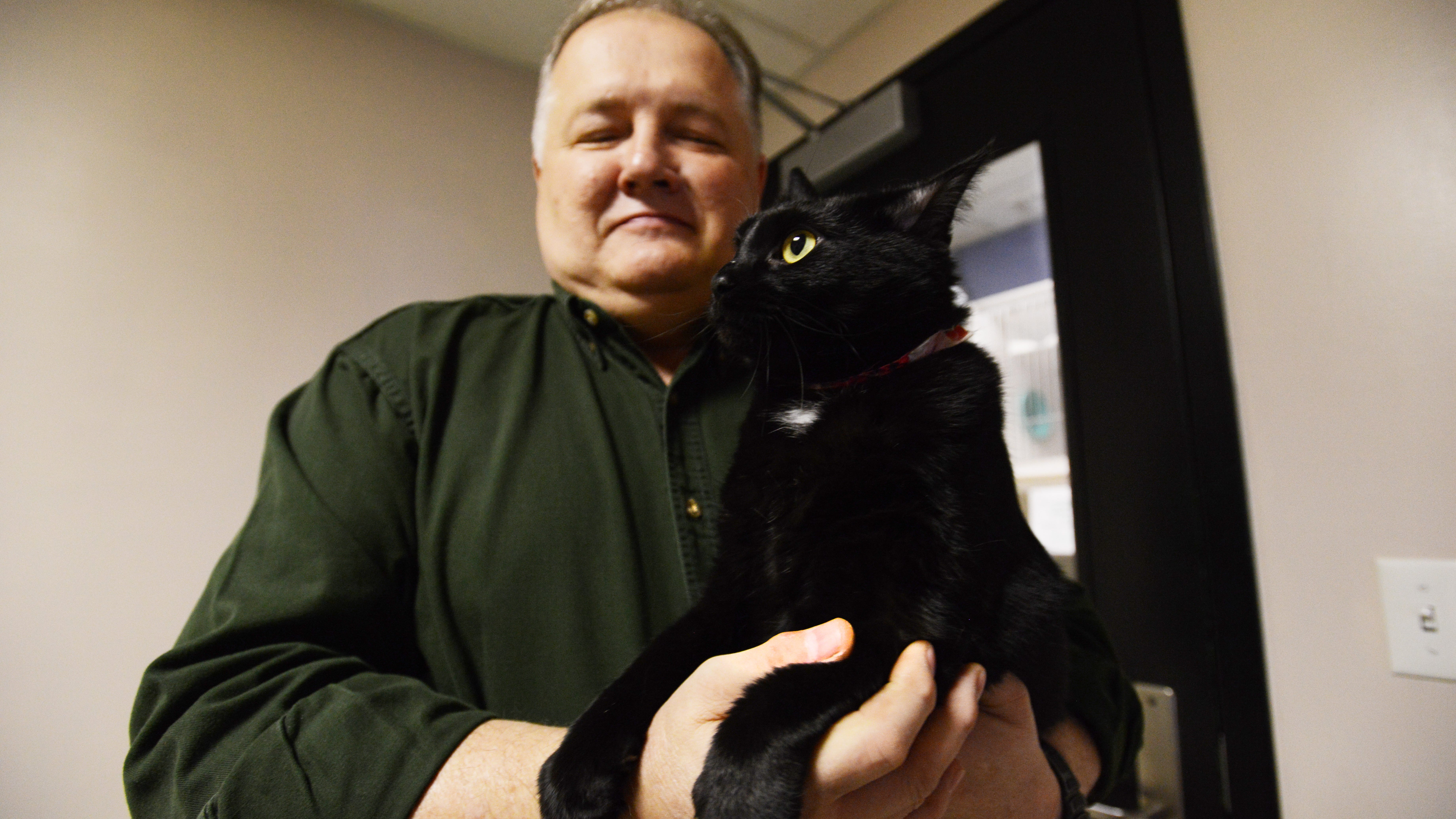 muskingum county animal shelter cats
