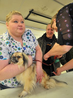 Volunteers Olivia Punke, left, holds a dog while getting a shot by Rebecca Myszka Saturday afternoon, Feb. 21, 2015, at the former Kwik Trip gas station on Grand Avenue in Wausau.