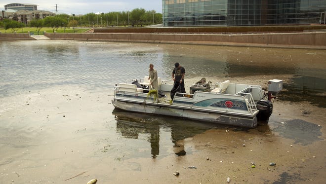 Tempe eyesore: Workers with Aquatic Consulting & Testing  remove vegetation on the western end of Tempe Town Lake, where rotting sludge and garbage has pooled from recent rains.