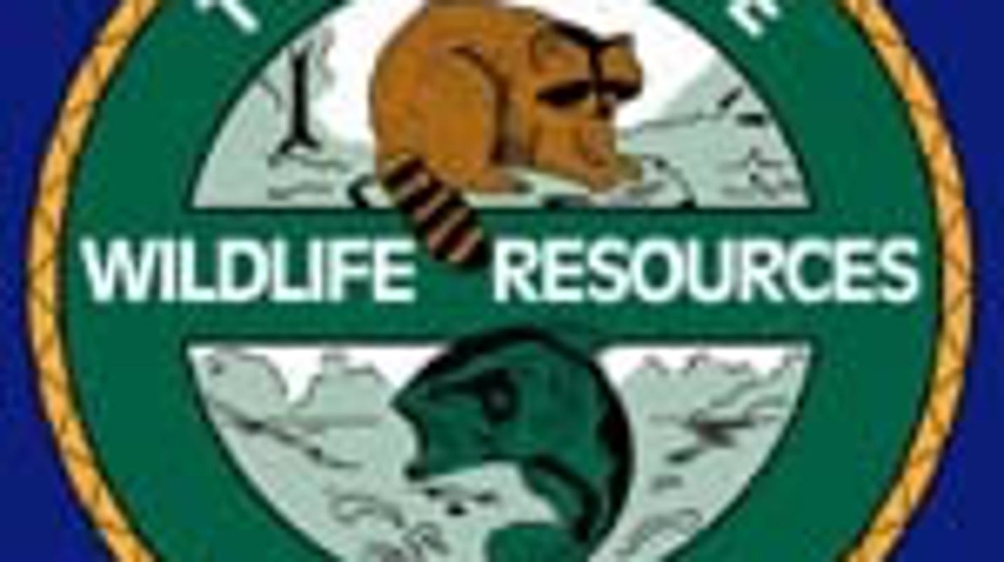 Tennessee hunting, fishing license fees to rise