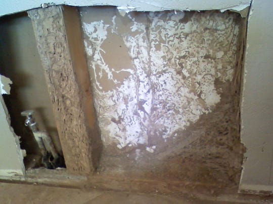 How To Arm Yourself For The Battle Against Termites