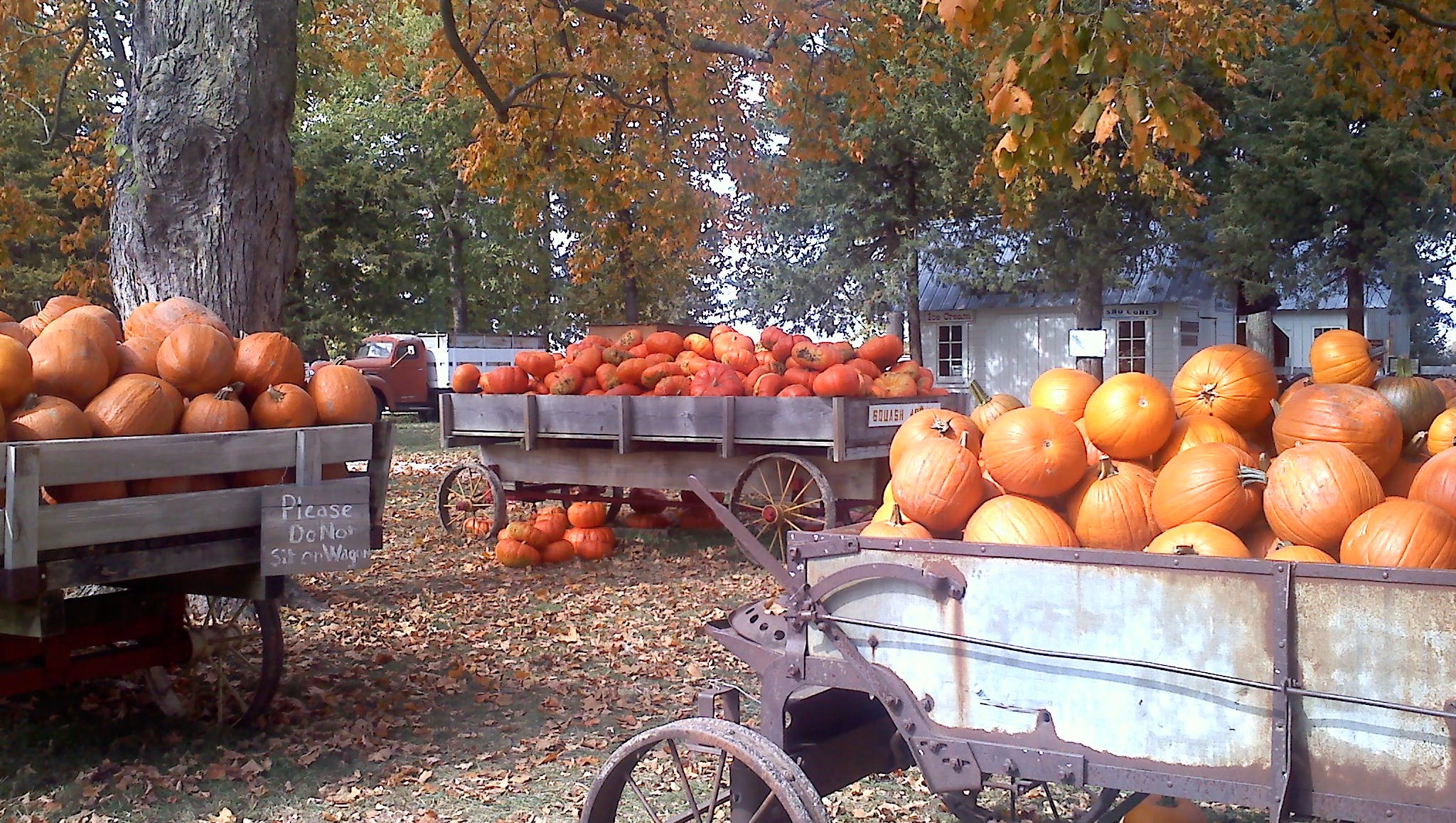 Pumpkin patches, apple orchards and corn mazes in Des Moinesarea