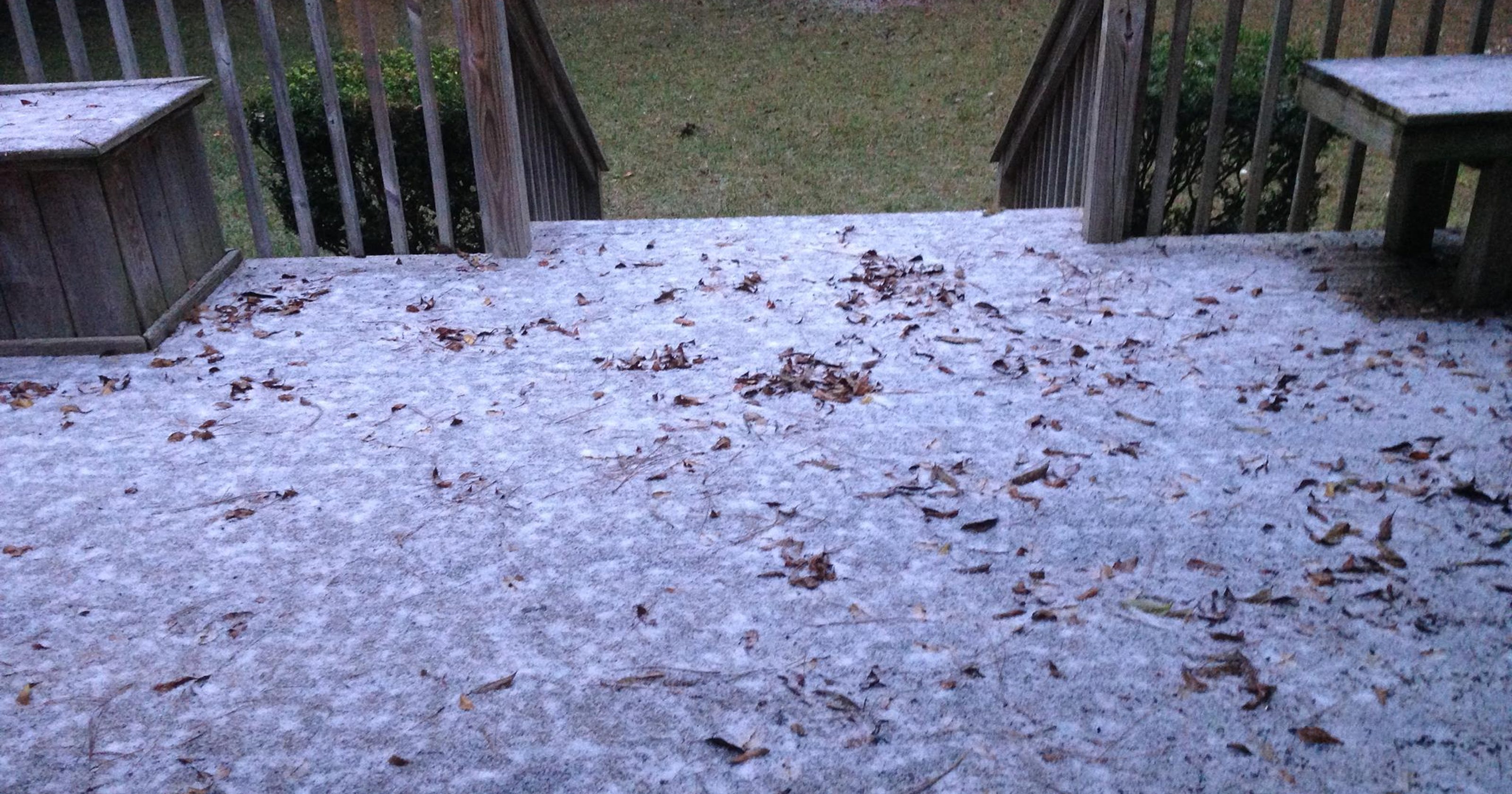 Relive all nine terrifying minutes of the Florida Snow Storm of 2018