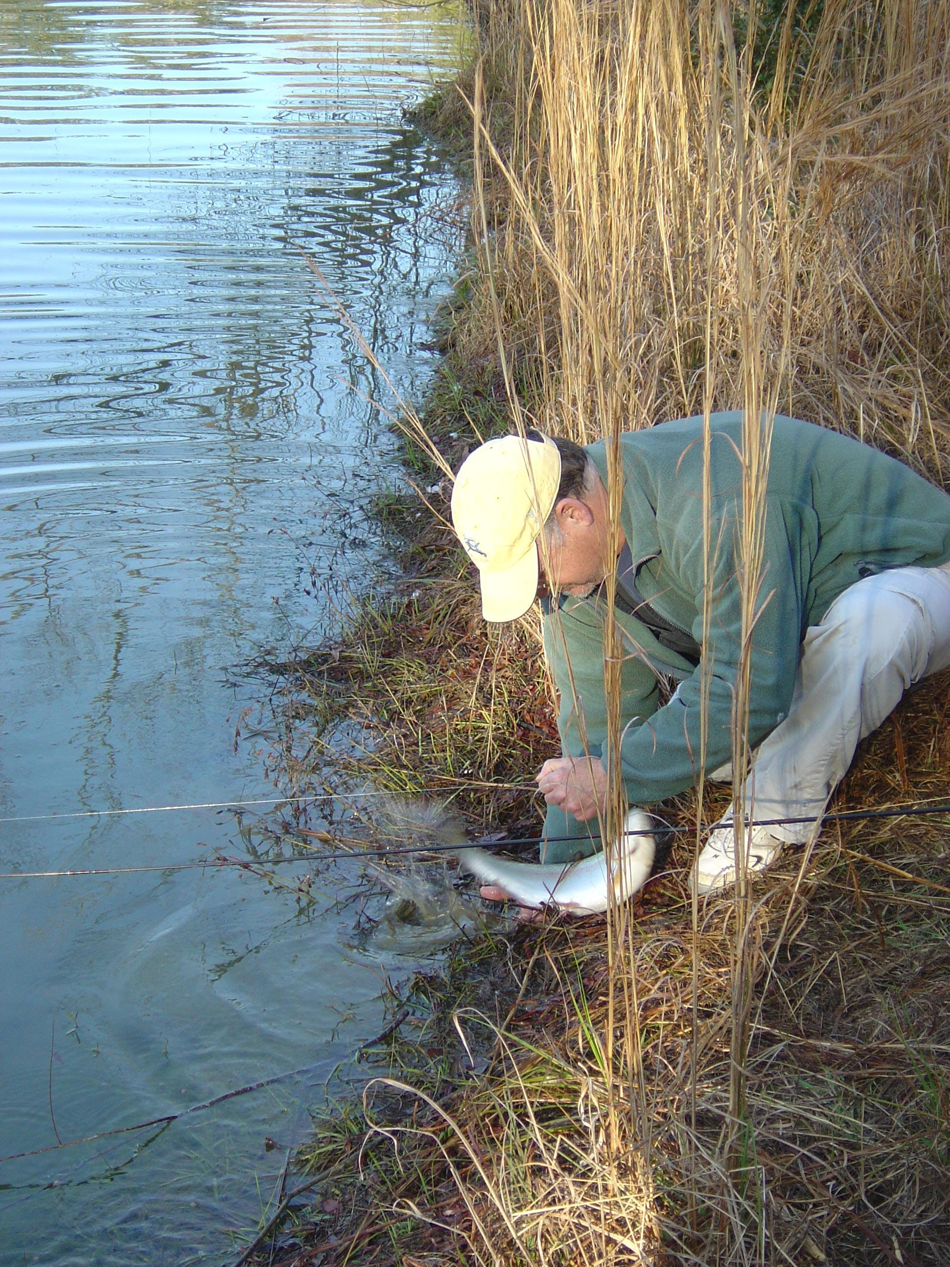 Outdoors Trout Of A Different Color