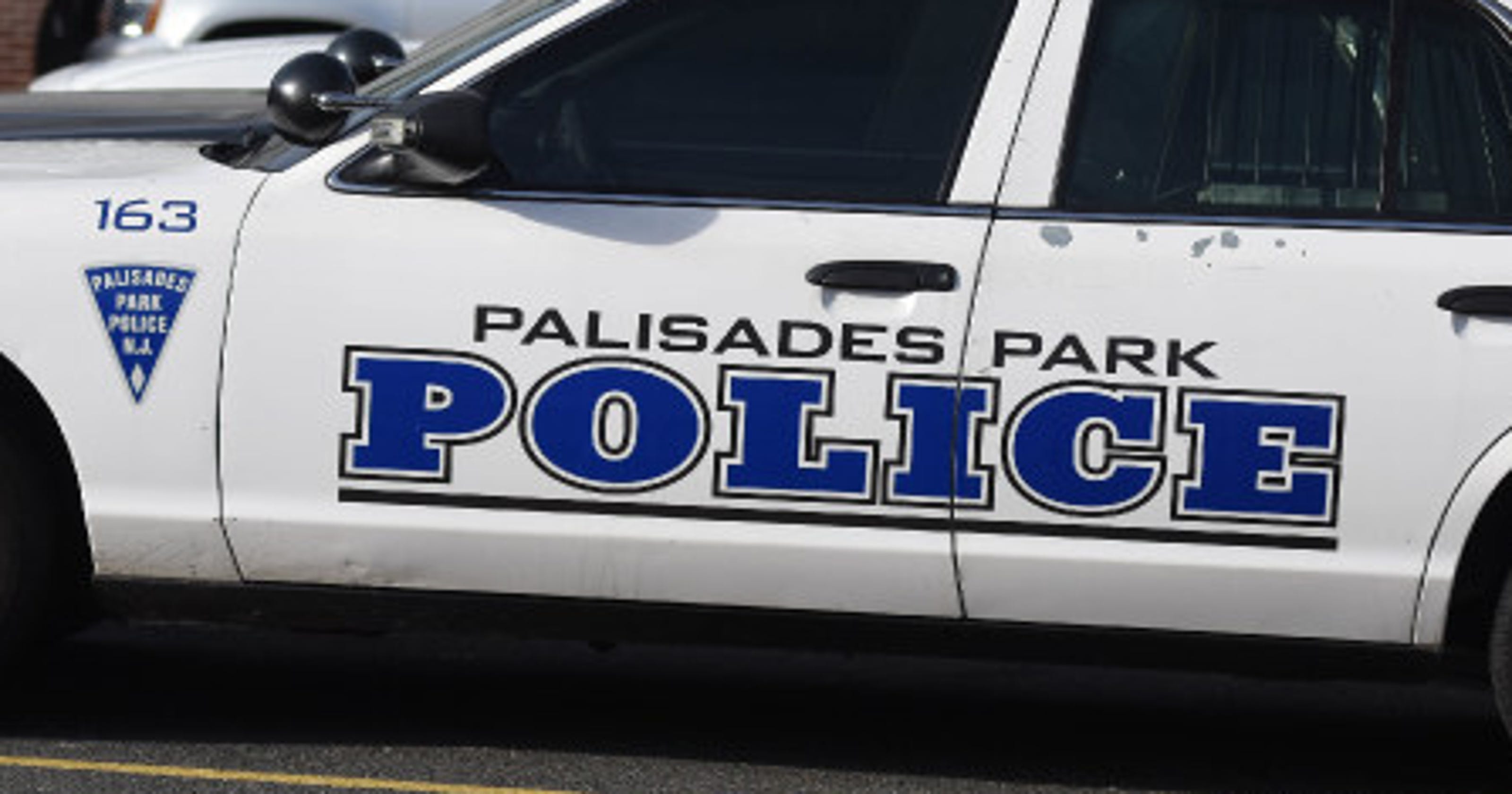 Palisades Park police department to go under review by consultant