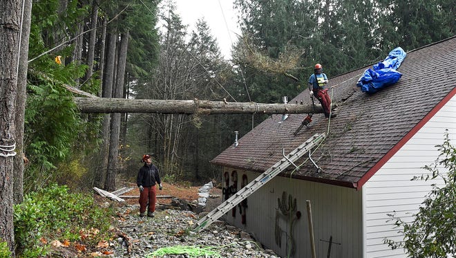 Joe Phelan, left, and Mitch Chapman, from Double D Tree, remove a tree, Wednesday, Nov. 18, 2015, in Olympia, Wash, that crashed through the roof of Stan and Becky Parker's detached garage in Olympia,Wash., the day before.