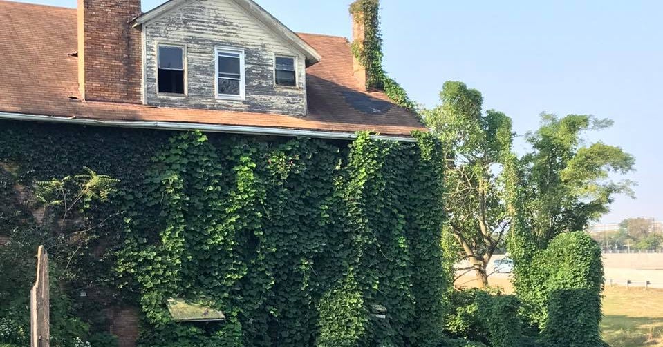 Abandoned house near I71 MLK interchange covered in vines