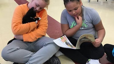 Jackson Elementary School students read to shelter pets.