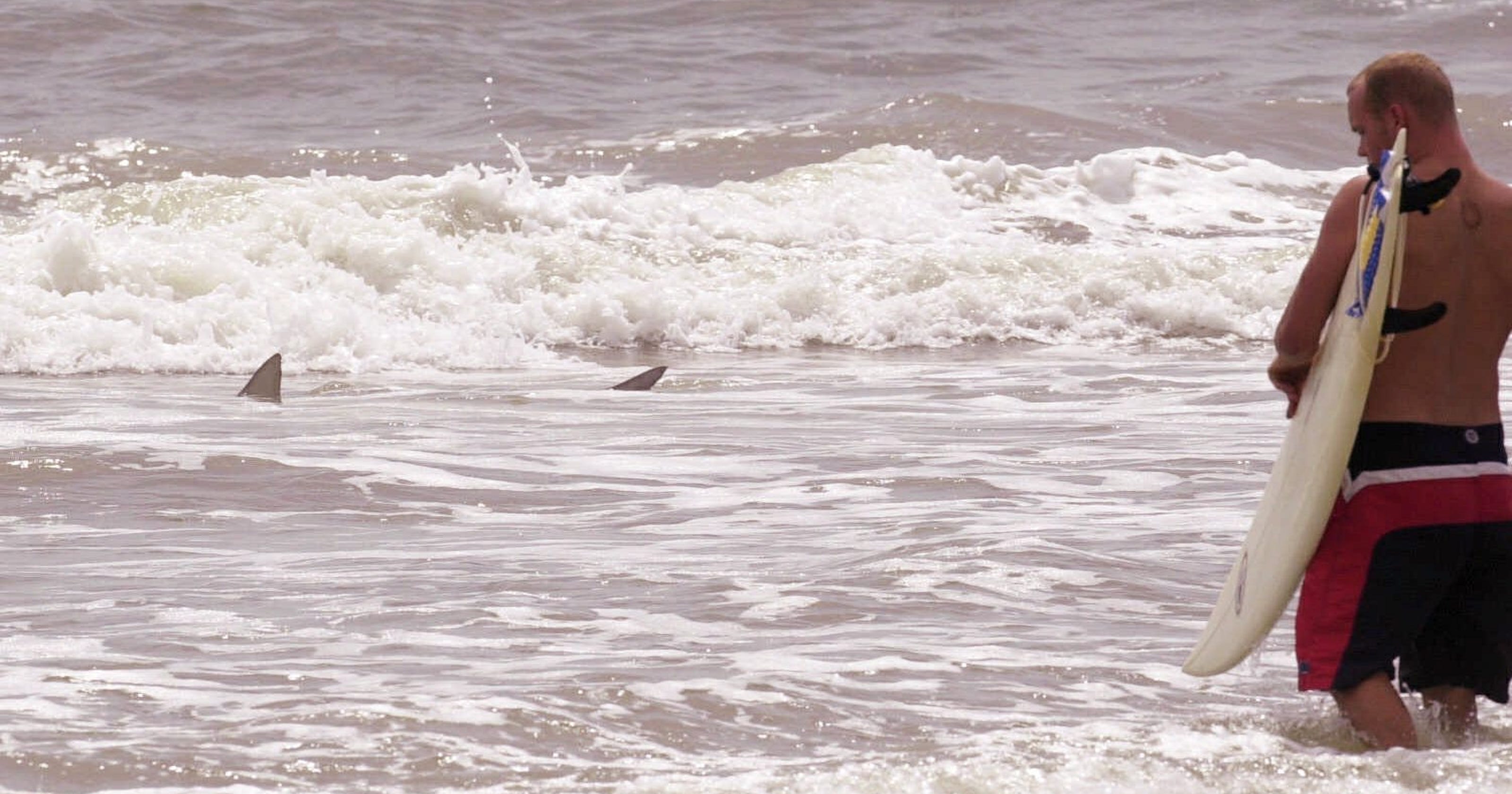 New Smyrna Beach Fl Third Shark Bite Victim Is From