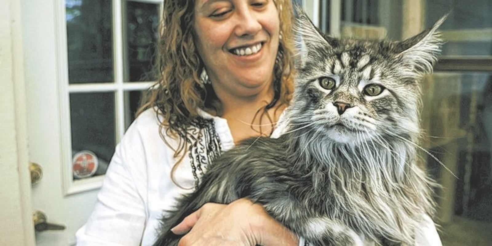 nevada-feline-certified-as-longest-domestic-cat-ever