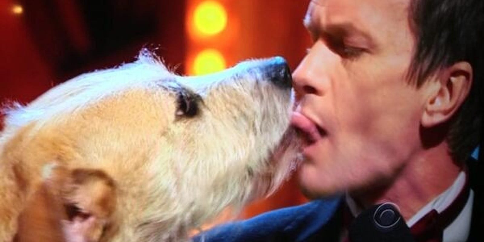 Neil Patrick Harris makes out with a dog