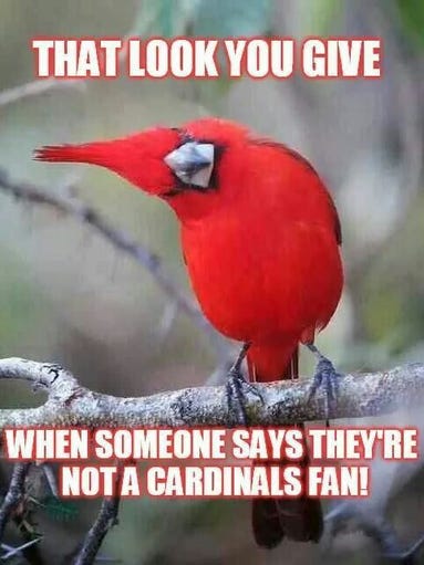 AZ Cardinals: Fan favorite memes
