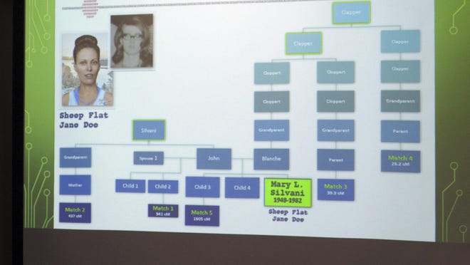 Washoe County Sheriff's investigators displayed this family tree created by the DNADoeProject during a news conference in Reno, Nev., on Tuesday, May 7, 2019.