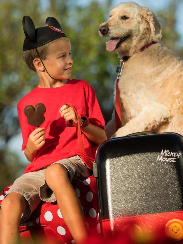 Disney World Resorts Now Welcome Dogs