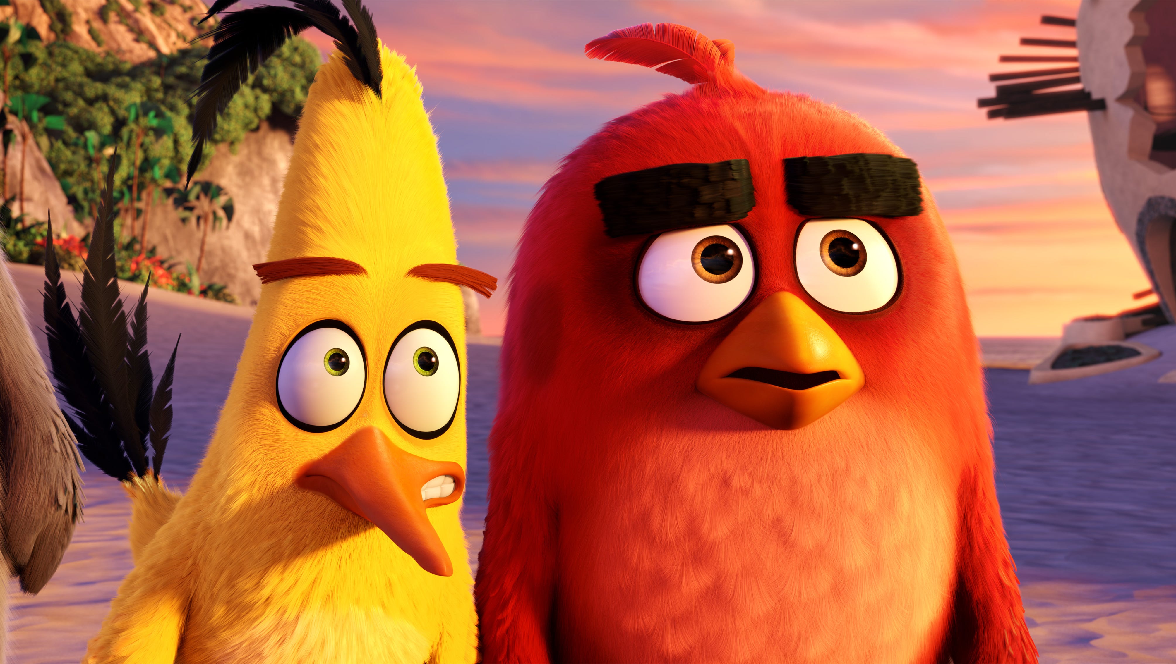The Angry Birds Movie 5 Things We Learned