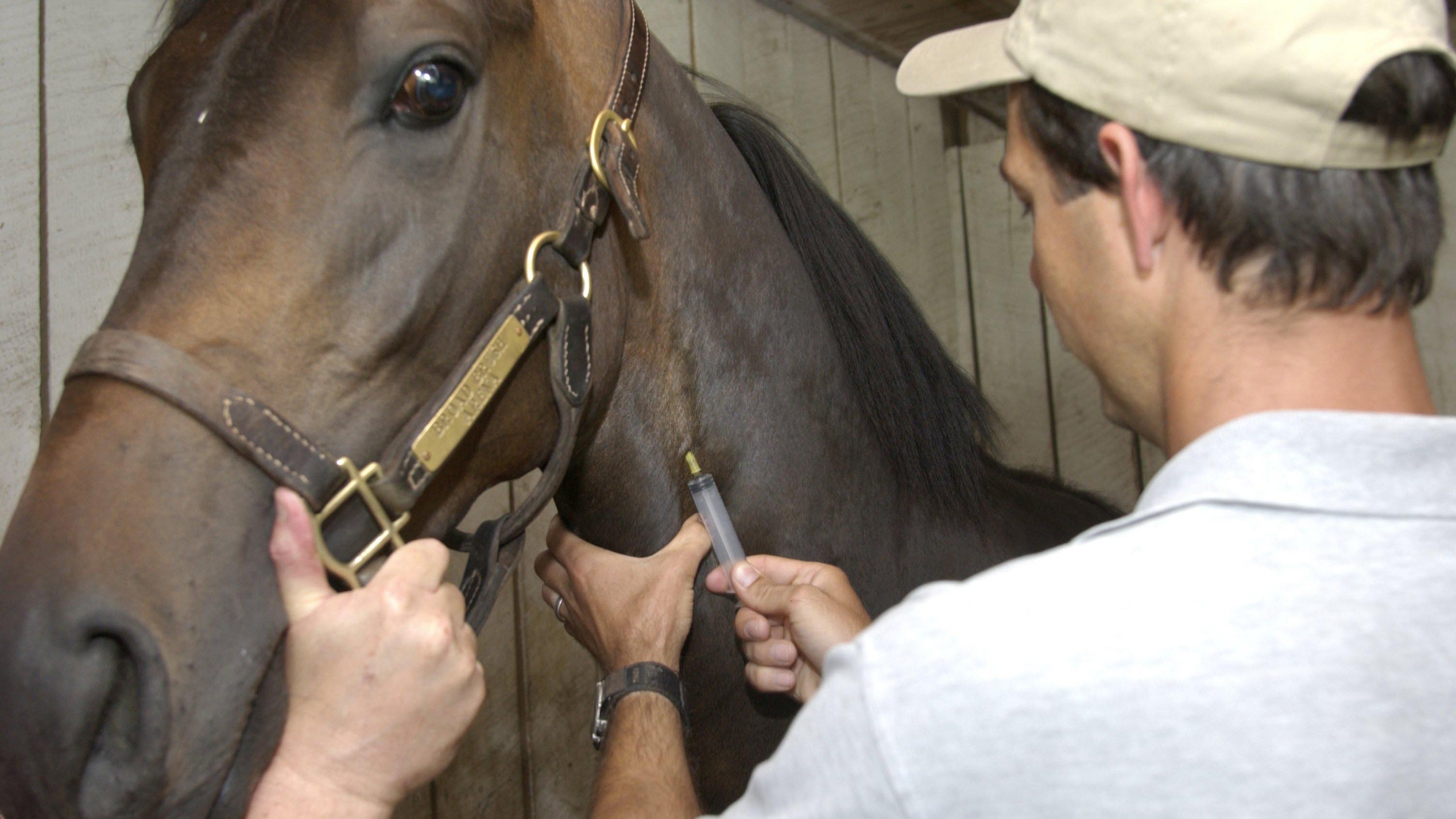 Can Kentucky Derby and horse racing stop cheating with drug crackdown?
