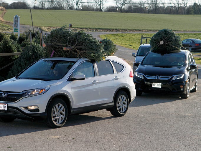 Christmas trees were selling quickly on opening day