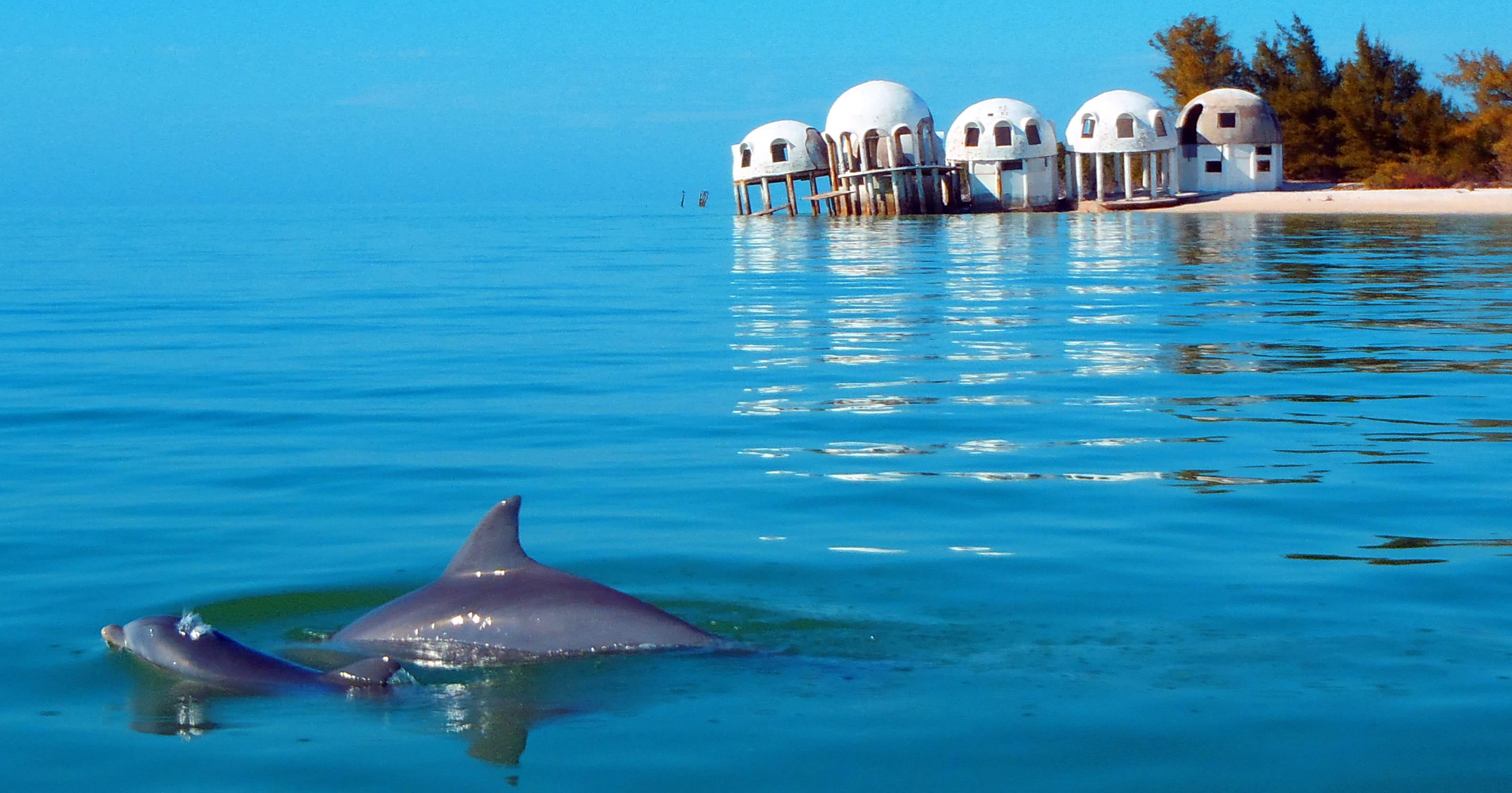 These Otherworldly Domes Used To Be A Beach Home