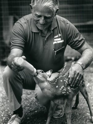Gordy Priegel fed the fawn in the Department of Natural Resources' nature walk at the State Fair in 1989.