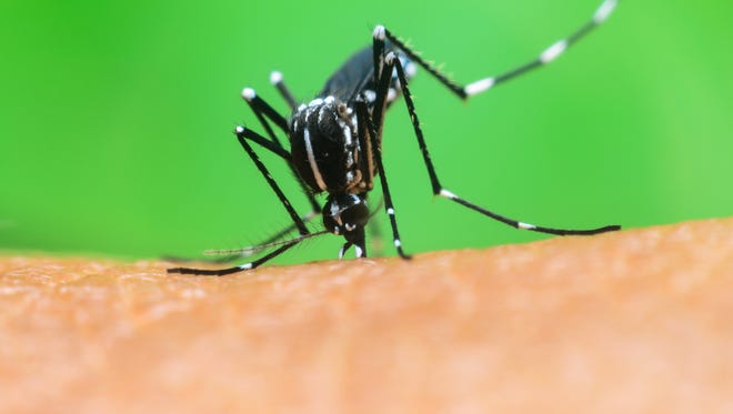 West Nile virus is transmitted to humans through mosquito bites. The risk for most of the population is low, authorities say.