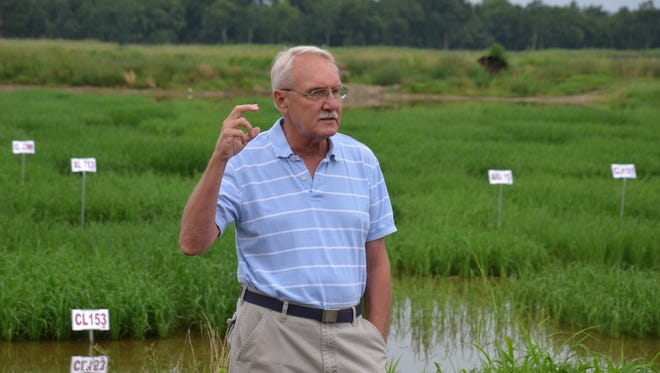 LSU AgCenter rice breeder Steve Linscombe tells farmers at the Evangeline Parish rice field day about work at the H. Rouse Caffey Rice Research Station to develop new rice varieties and hybrids.