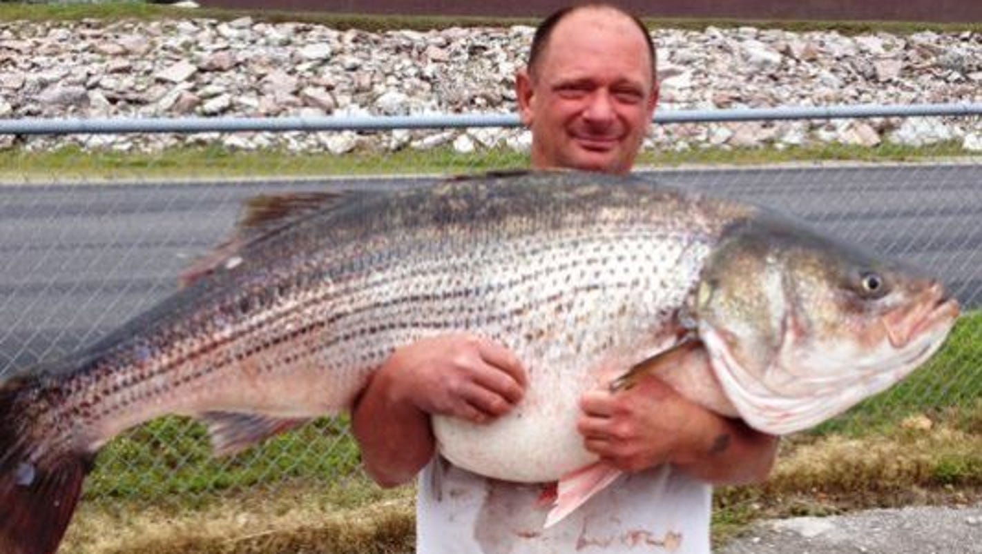 Missouri Man Catches RecordBreaking Striped Bass