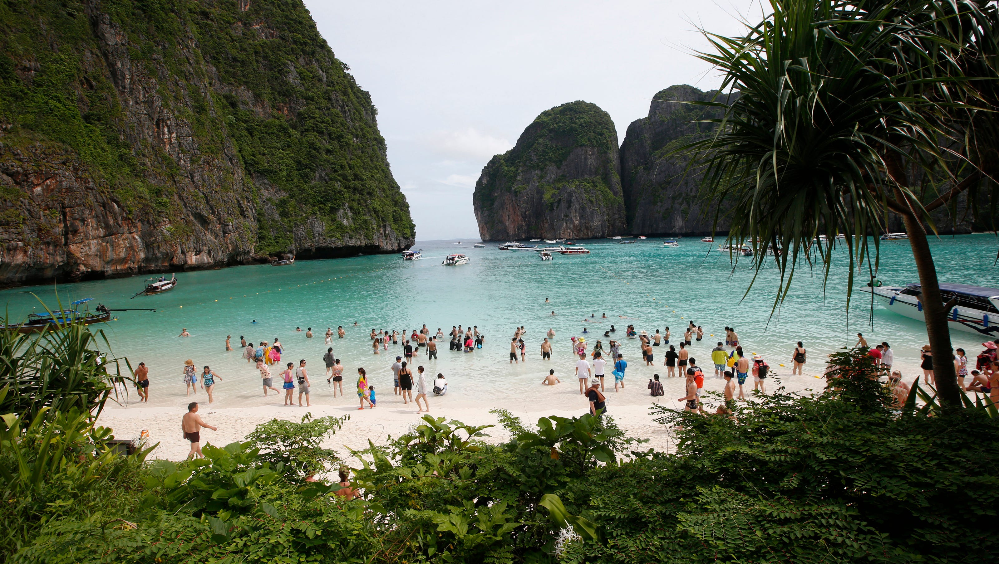 Maya Bay Ailing Thai Beach Made Famous By Hollywood Closes To Tourism