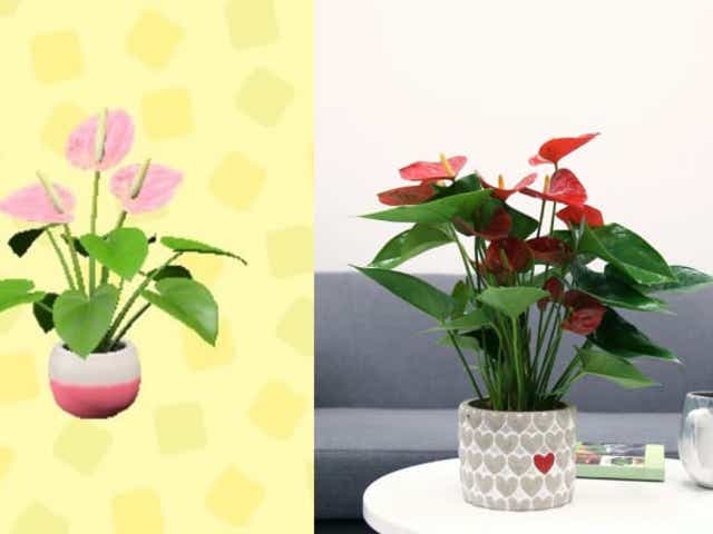 15 Pieces Of Animal Crossing Decor You Can Own In Real Life