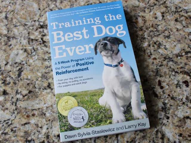 Best Dog Products 2022