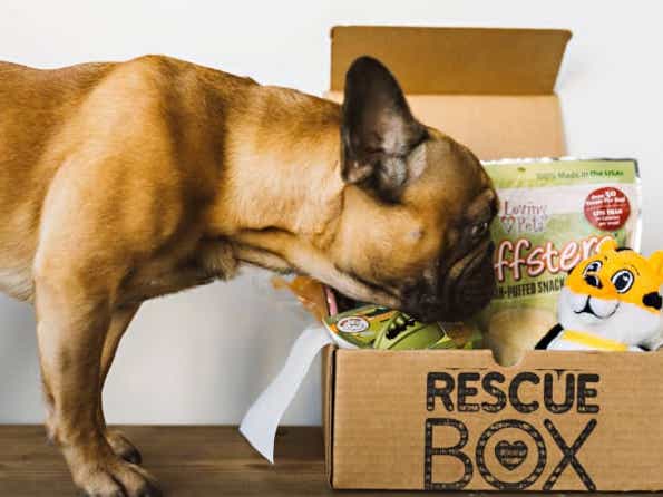 20 Things You Need If You Re Obsessed With Your Pet