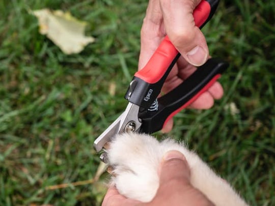 The Epica Pet Nail Clipper is our first choice because of its strength.