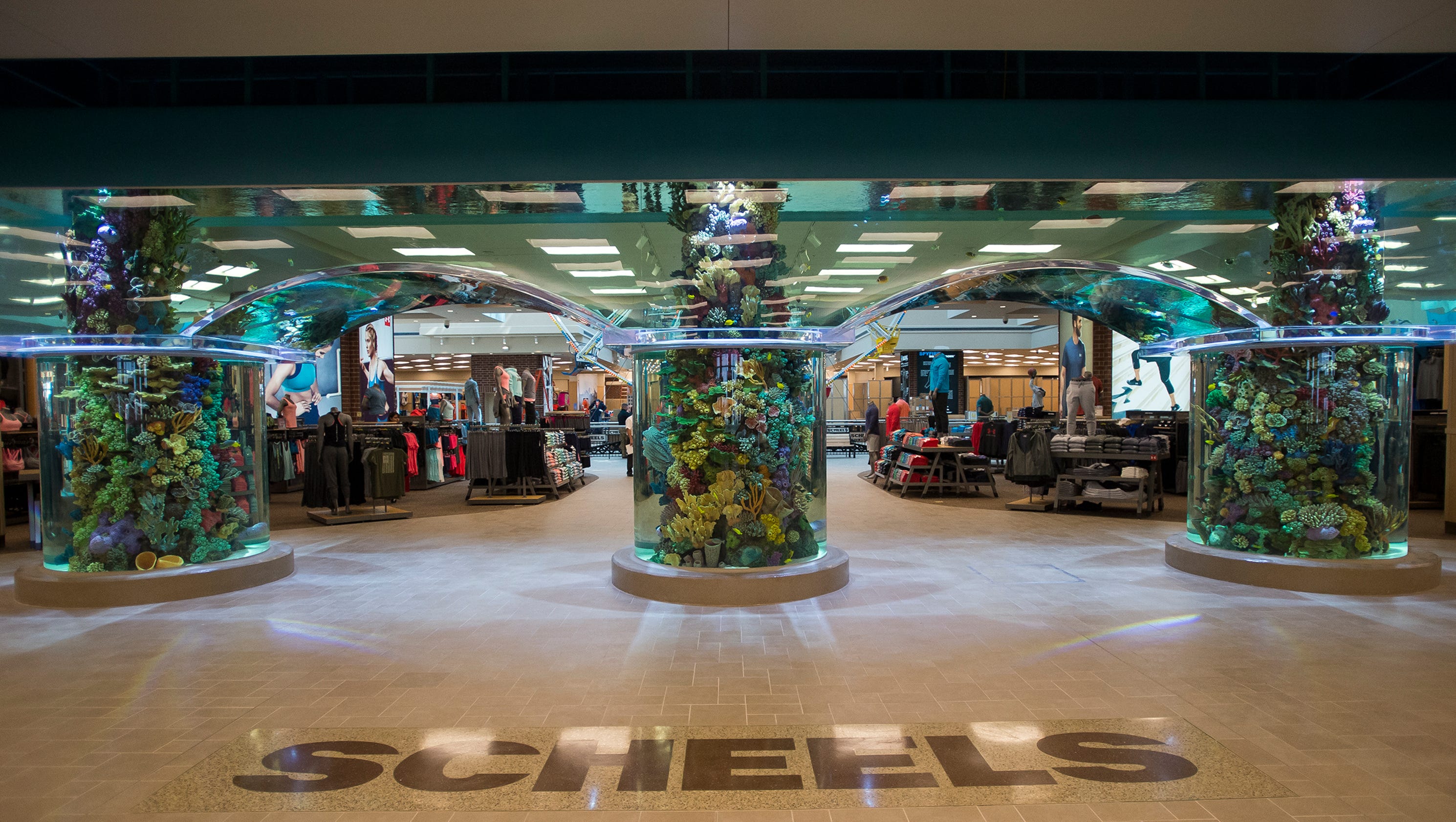 Colorado Scheels grand opening to attract tens of thousands