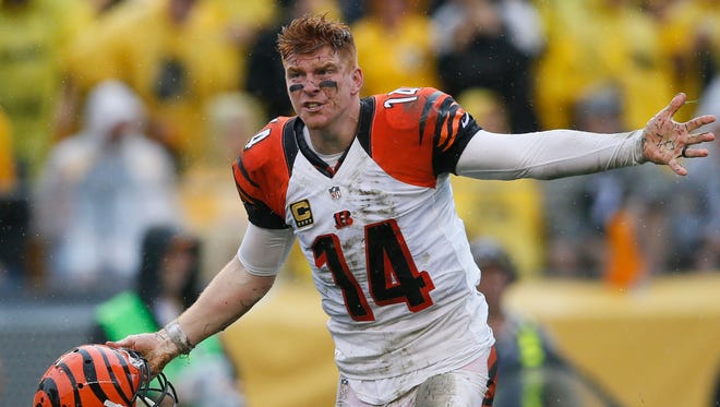 Bengals quarterback Andy Dalton pleads his case to an official in the third quarter of Sunday's loss to the Steelers.
