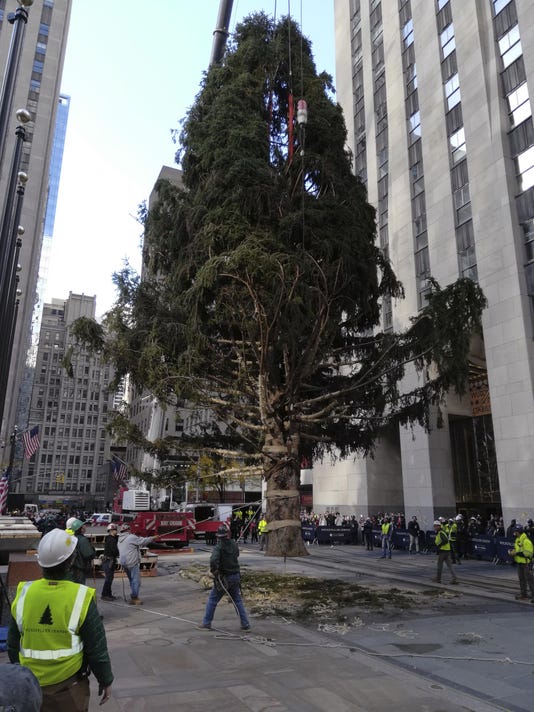 New York City’s Rockefeller Center Christmas tree goes up