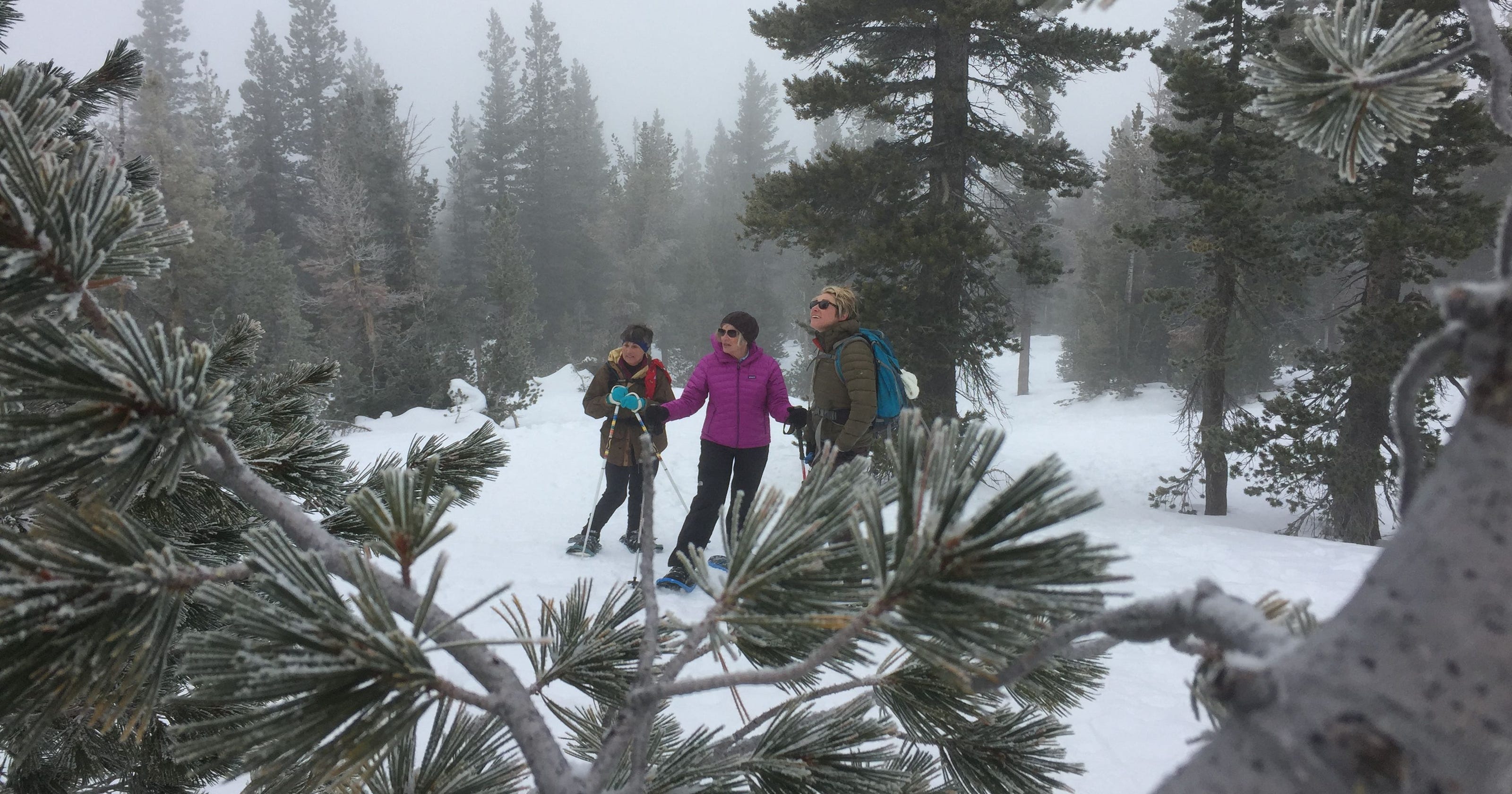 Cold and snow no excuse to stop hiking Tahoe Basin