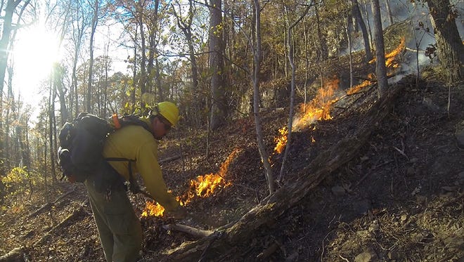 A firefighter works to contain the blaze near Hawksbill Crag before rain Tuesday helped squelch the fire.