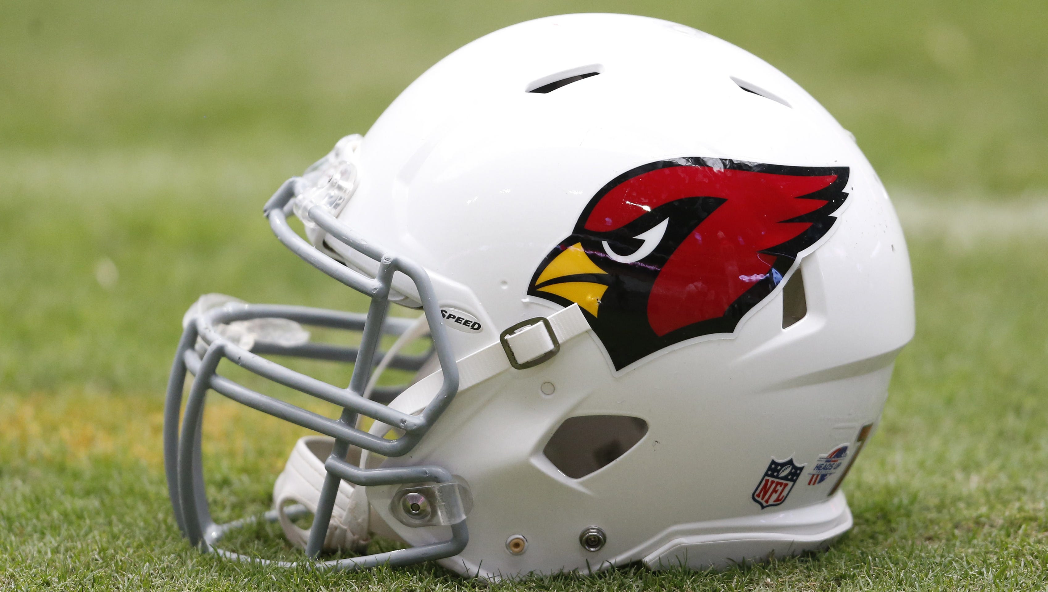 Arizona Cardinals stadium to get metal detectors